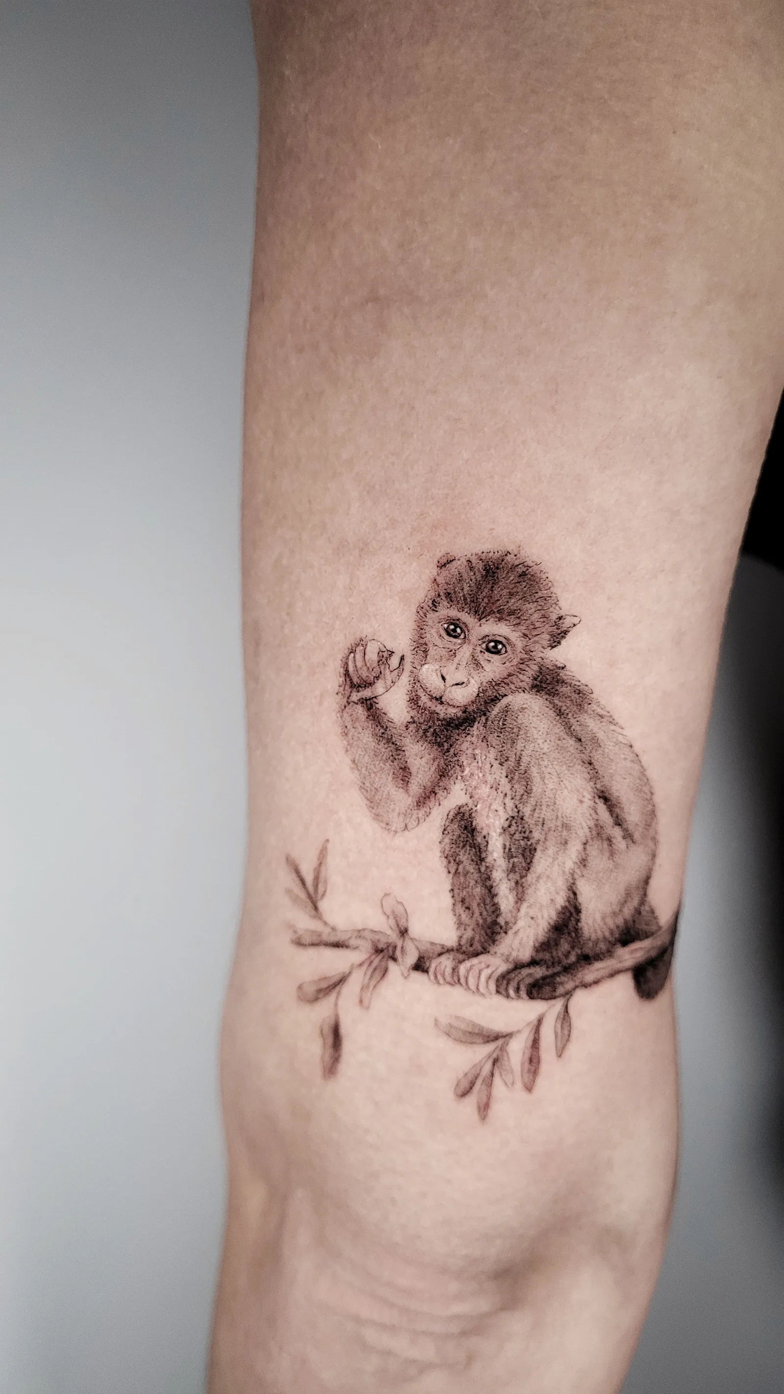 Fine line animal tattoo on the arm