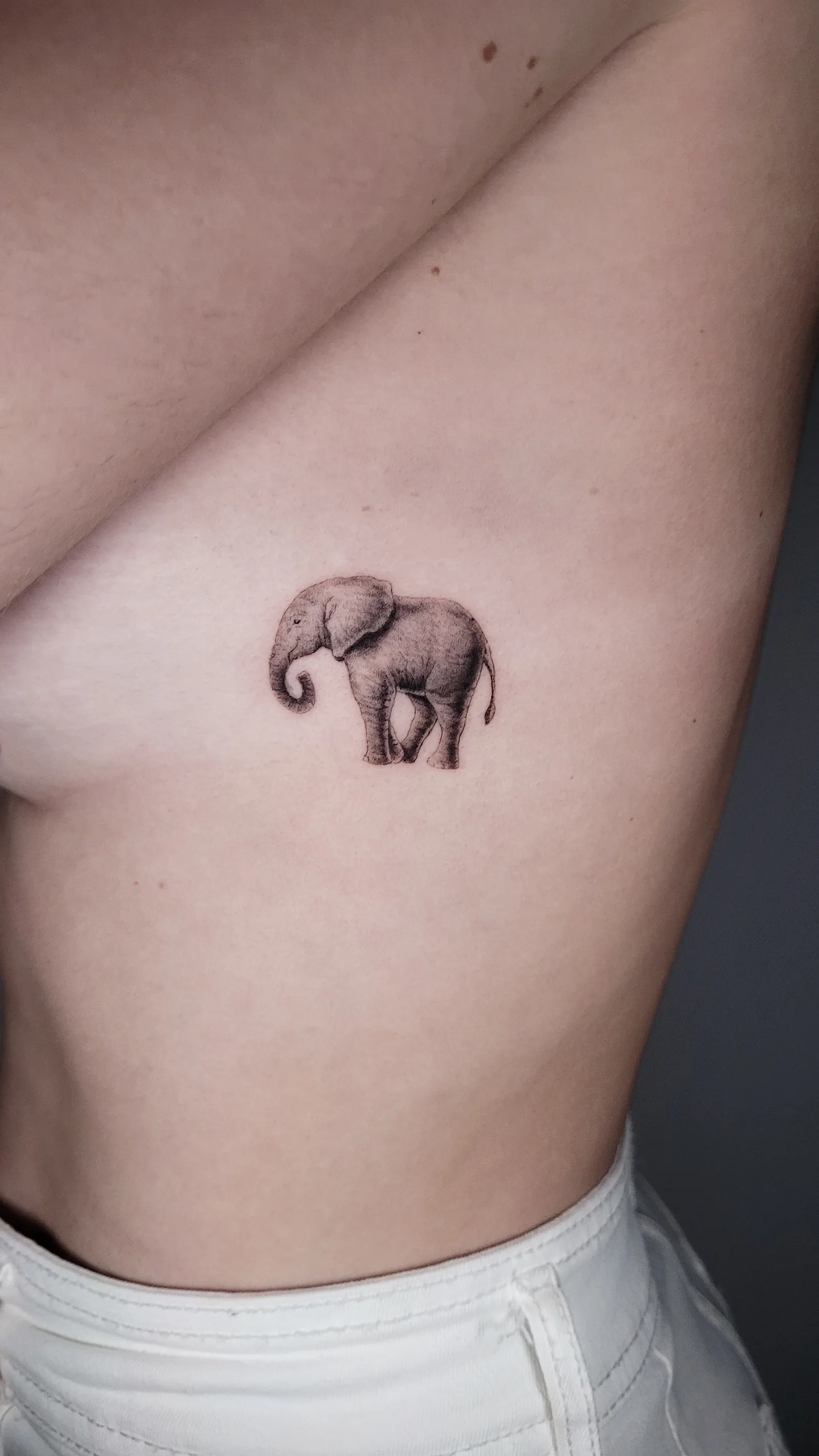 Fine line animal tattoo on the arm