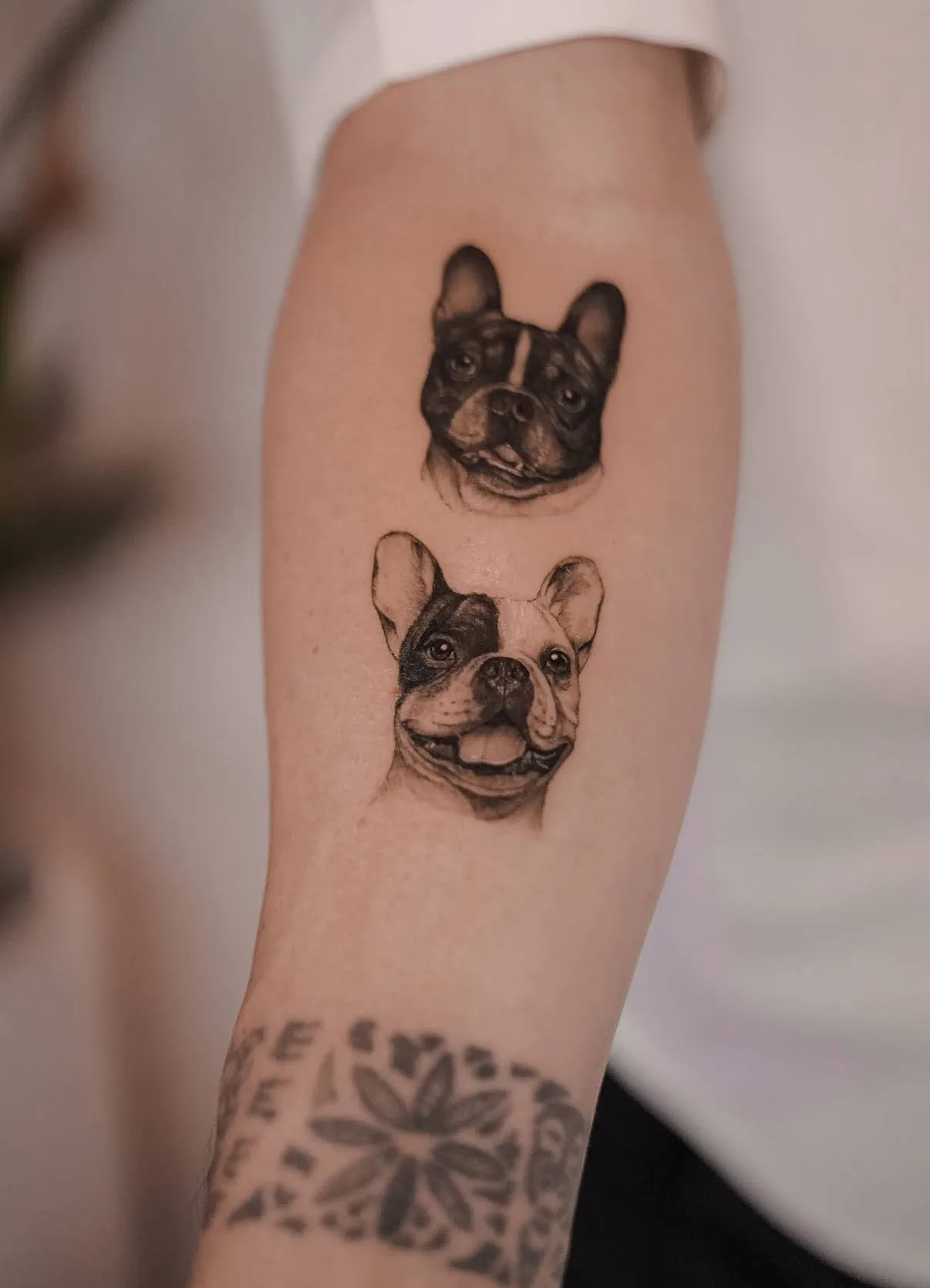 Fine line animal tattoo on the arm
