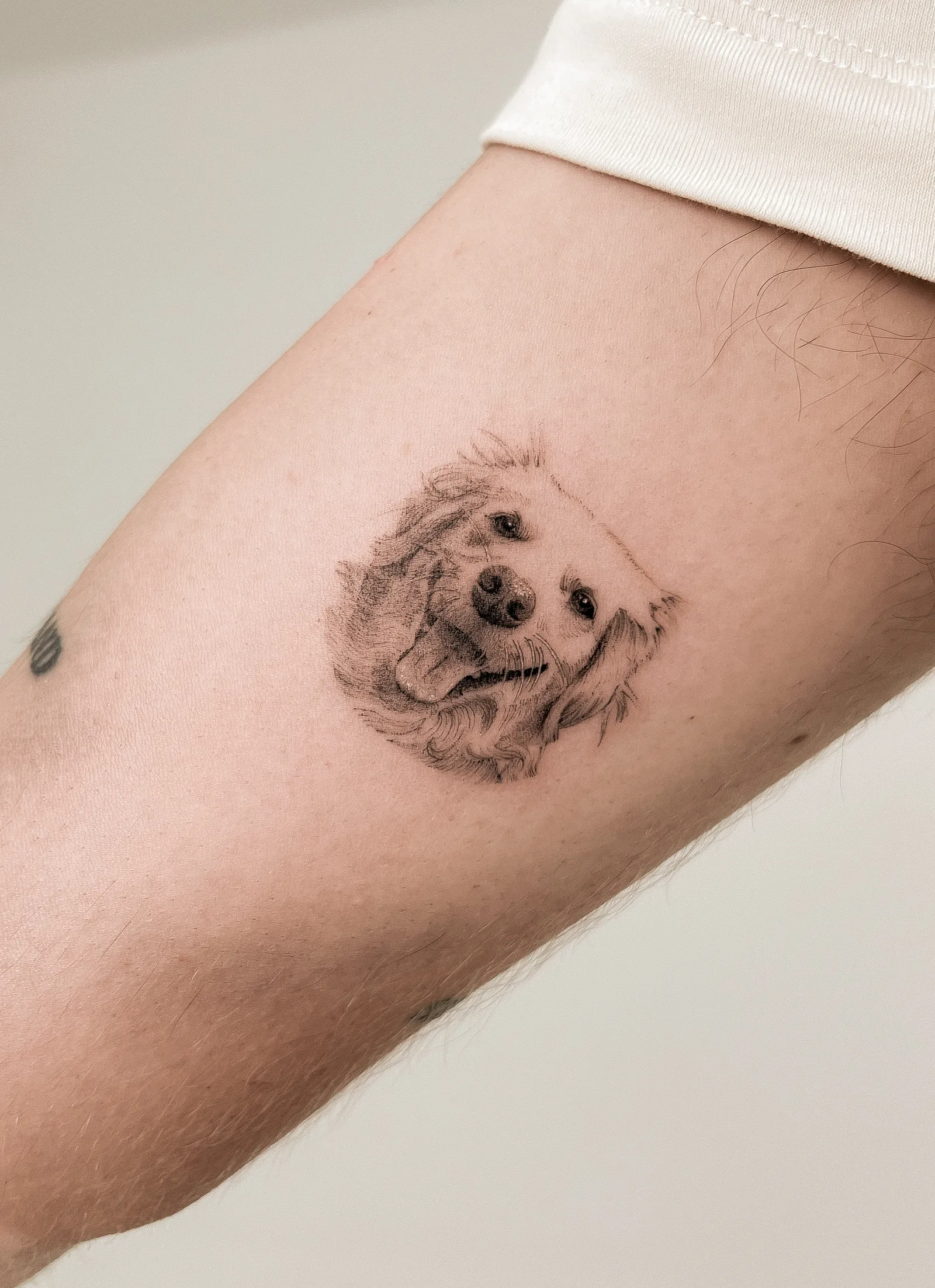 Fine line animal tattoo on the arm