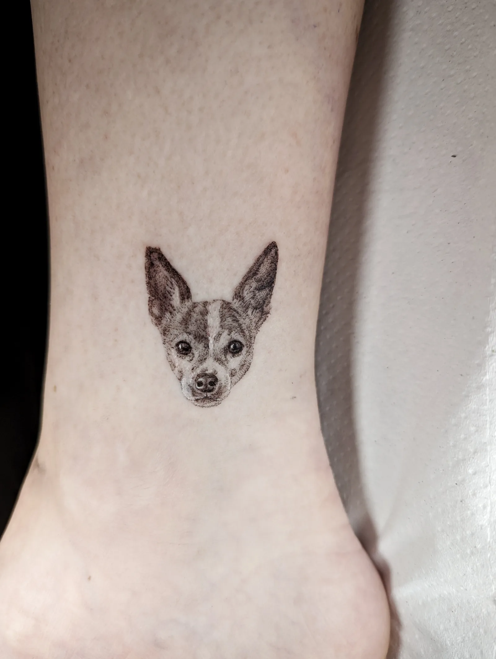 Fine line animal tattoo on the arm