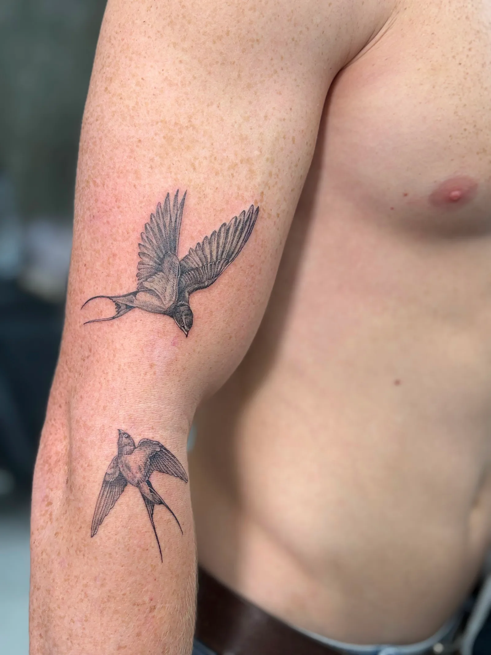 Fine line animal tattoo on the arm
