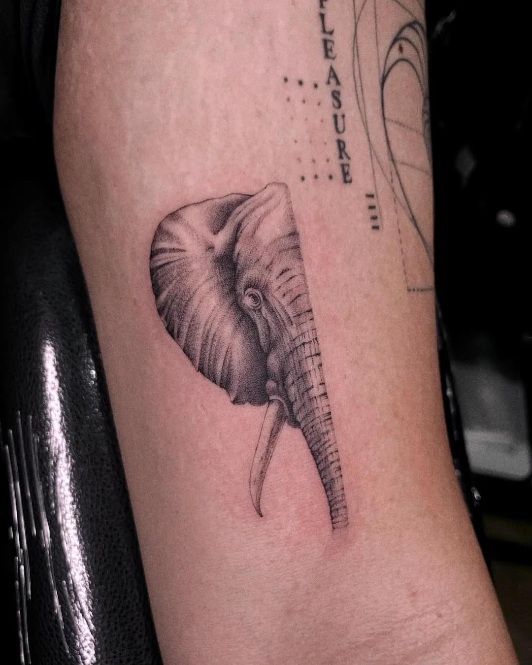 Fine line animal tattoo on the arm
