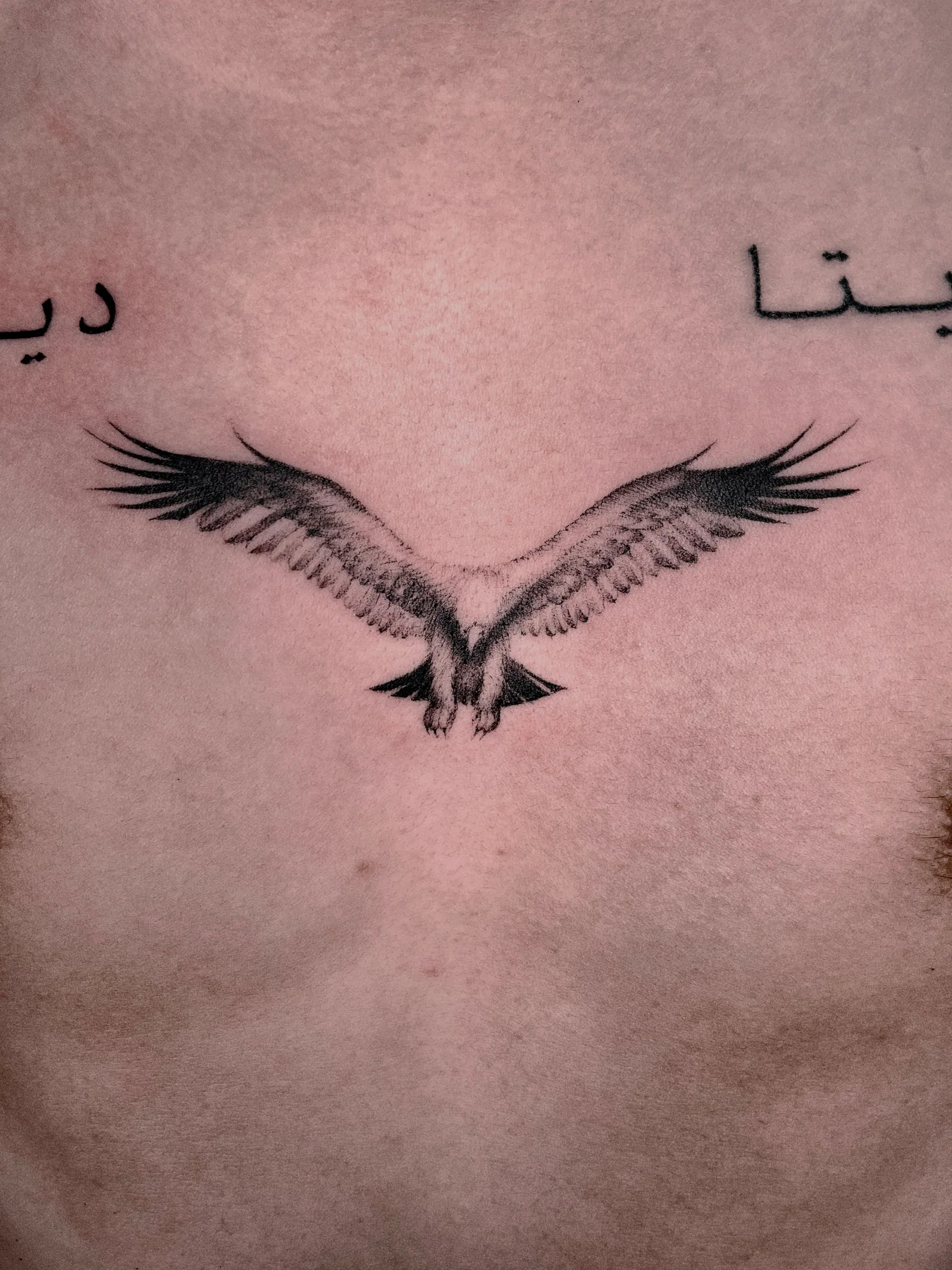 Fine line animal tattoo on the arm