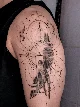Conceptual Icarus and sacred geometry sleeve