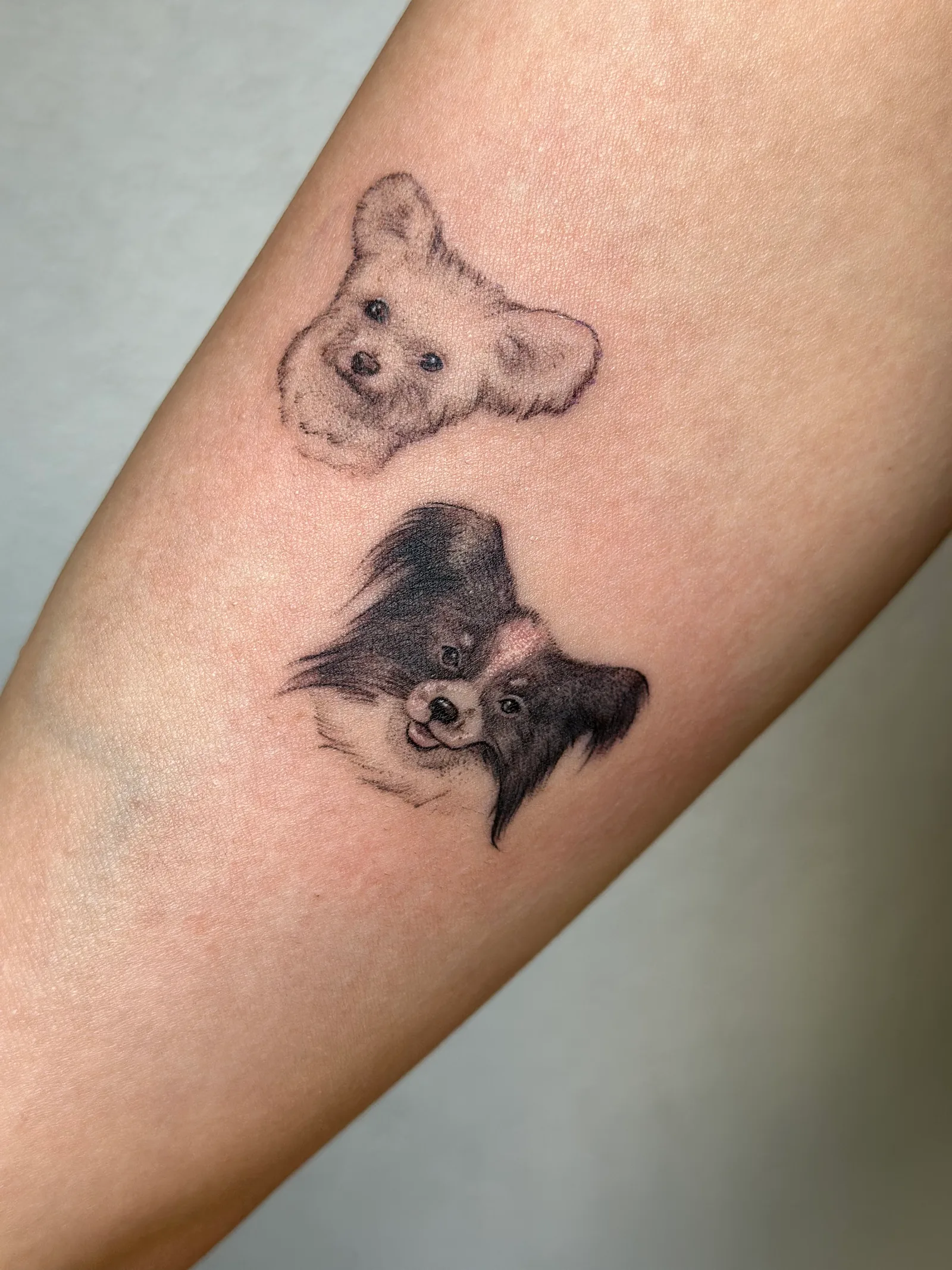 Micro-realism tattoo on the arm