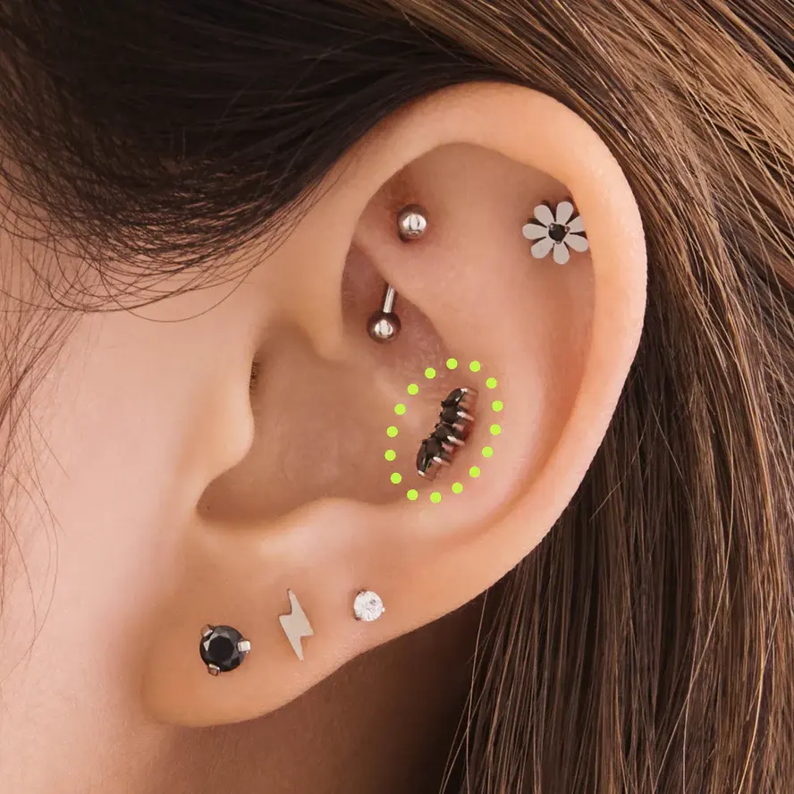 Conch piercing with a stud
