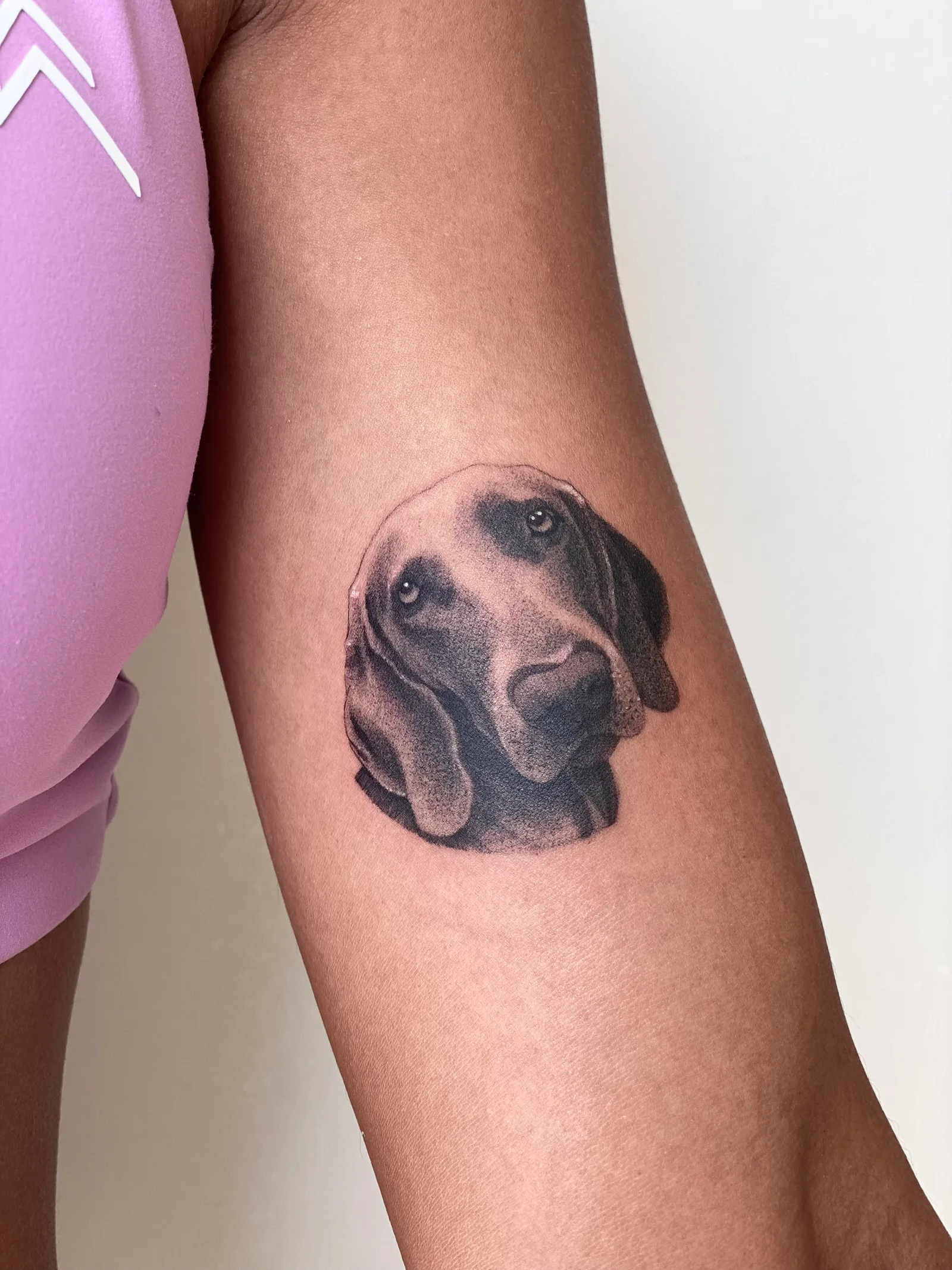 Realism animal tattoo on the arm