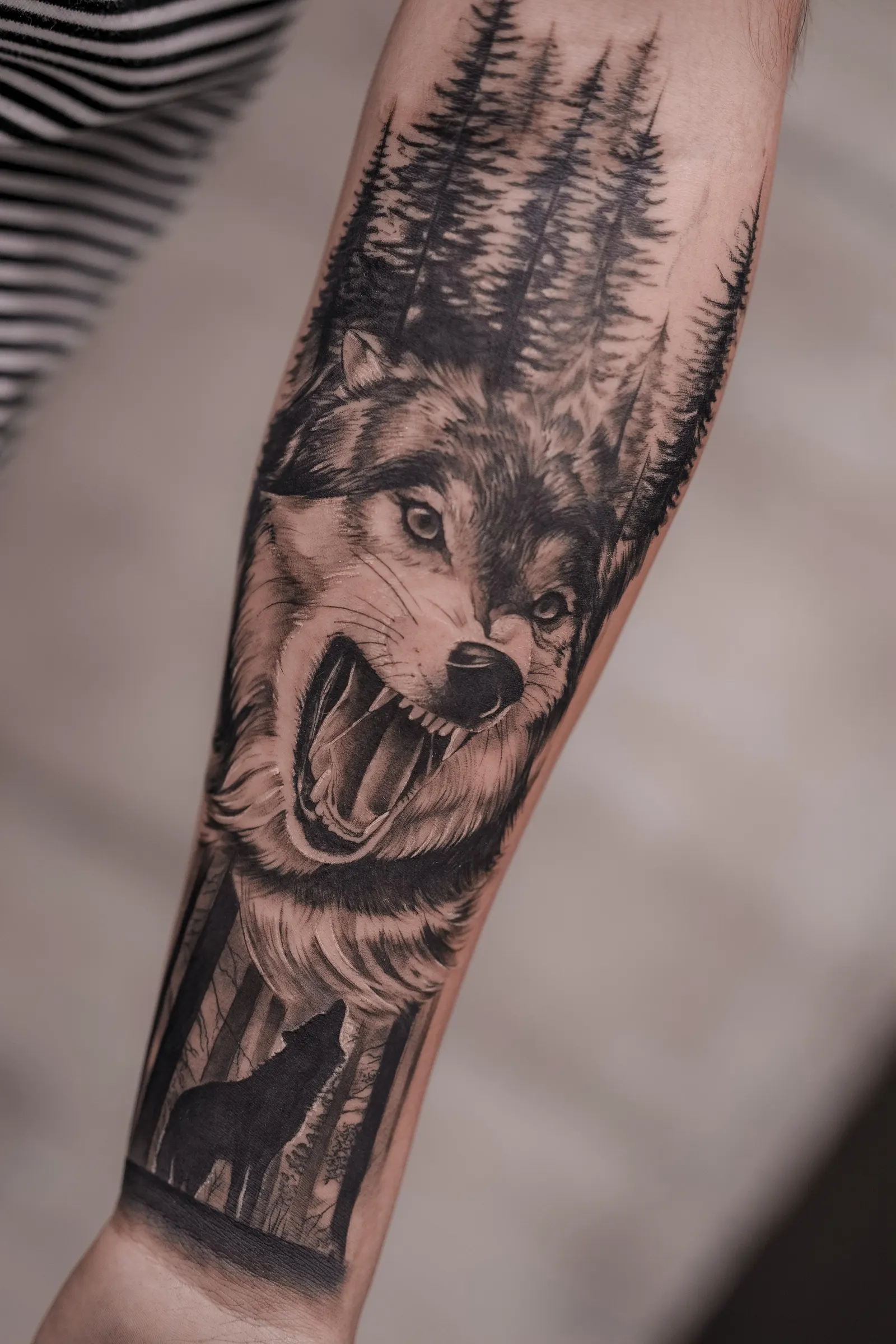 Realistic snarling wolf with a pine forest behind it, tattooed along the forearm.